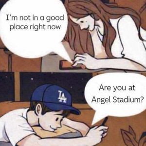 Image post by @therealdodgerhogs on Instagram