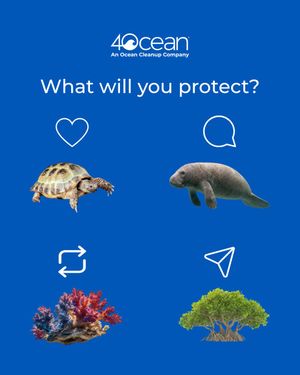 Image post by @4ocean on Instagram
