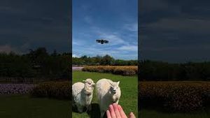 Video post by @dji on YouTube