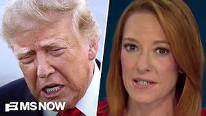 Video post by @msnbc on YouTube