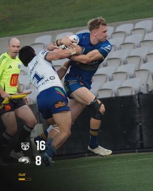 Image post by @theparraeels on Instagram