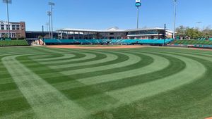Image post by @CoastalBaseball on Twitter