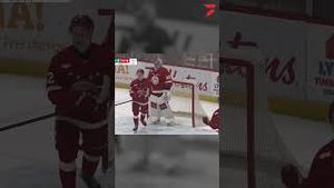 Video post by @flohockey on YouTube