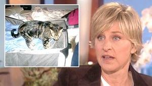 Video post by @theellenshow on YouTube
