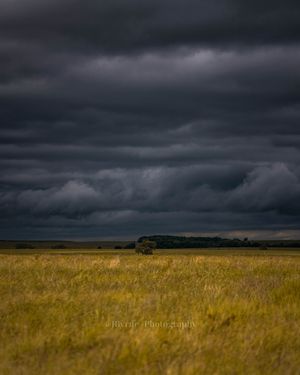 Image post by @jbyrne_photography on Instagram