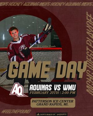 Image post by @aquinasd3hockey on Instagram