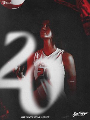 Image post by @msum_volleyball on Instagram