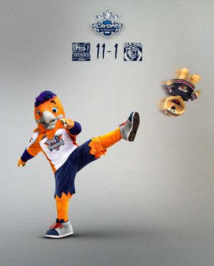 Image post by @flintfirebirds on Instagram