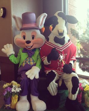 Image post by @chickfilawaterfordlakes on Instagram