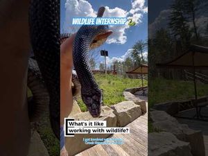 Video post by @pennstate on YouTube