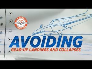 Video post by @AirSafetyInstitute on YouTube