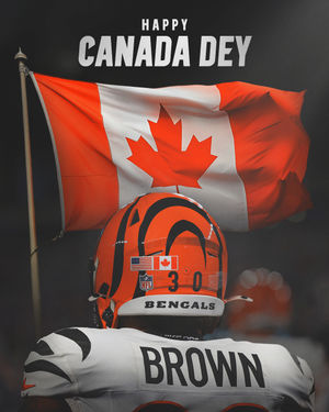Image post by @bengals on Instagram