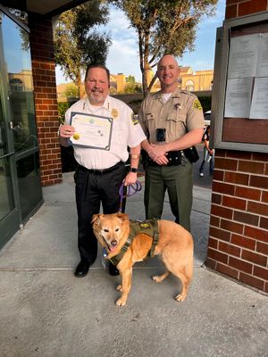 Image post by @SCVSHERIFF on Twitter
