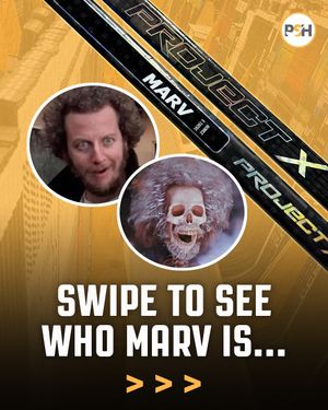 Image post by @prostockhockey on Instagram