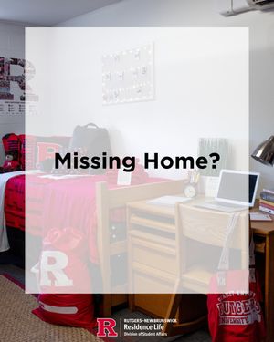 Image post by @rutgersreslife on Instagram