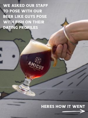 Image post by @amicusbrewingventures on Instagram