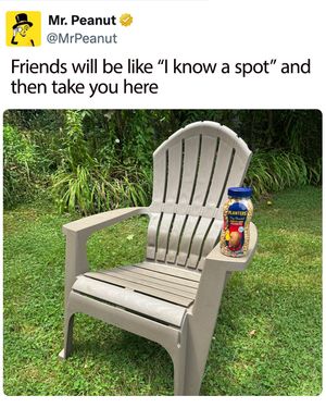 Image post by @mrpeanutofficial on Instagram