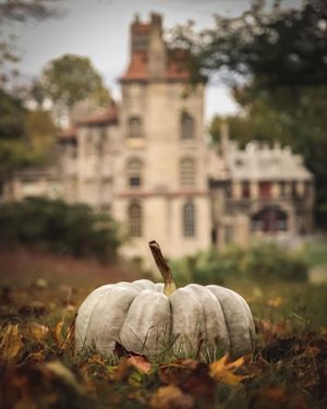 Image post by @visitbuckspa on Instagram