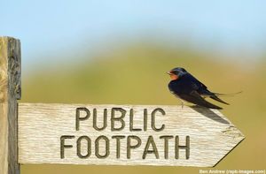 Image post by @rspb on Instagram