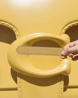 Image post by @coach on Instagram