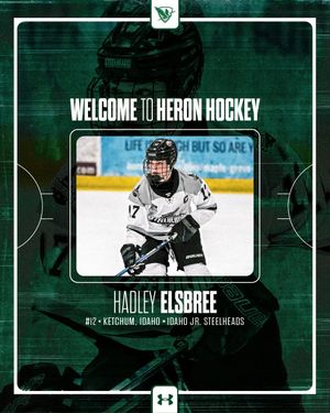 Image post by @heronhockey on Instagram