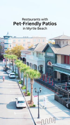 Video post by @visitmyrtlebeach on TikTok