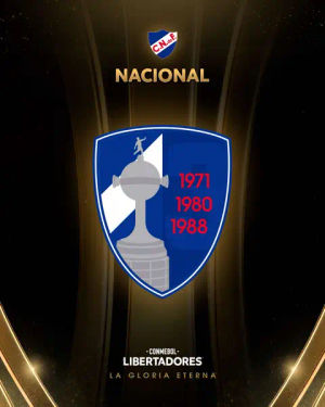 Image post by @libertadoresbr on TikTok
