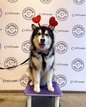 Image post by @dubs_uw on Instagram