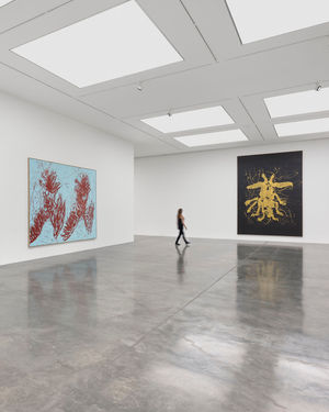 Image post by @whitecube on Instagram