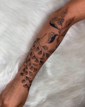 Image post by @tamarafalcomer on Instagram