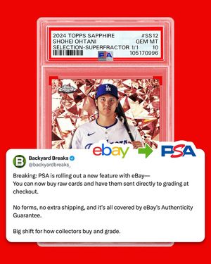 Image post by @backyardbreaks on Instagram
