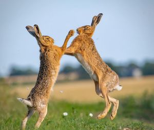 Image post by @bbcearth on Instagram