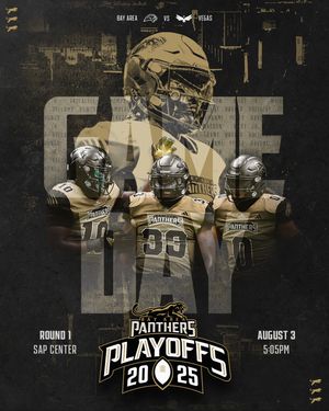 Image post by @panthersifl on Instagram
