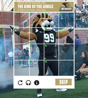 Image post by @lindenwood_lions on Instagram