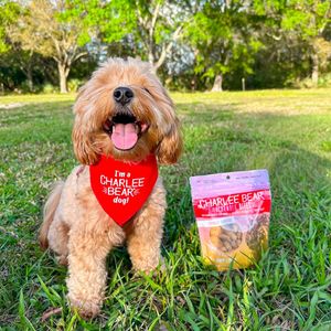 Image post by @charlee_bear_dogtreats on Instagram