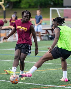 Image post by @the_stingers on Instagram