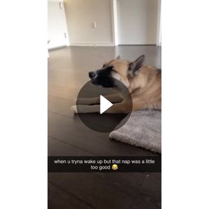 Video post by @anawigmore on Snapchat