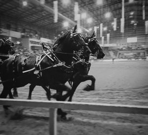 Image post by @nationalwestern on Instagram