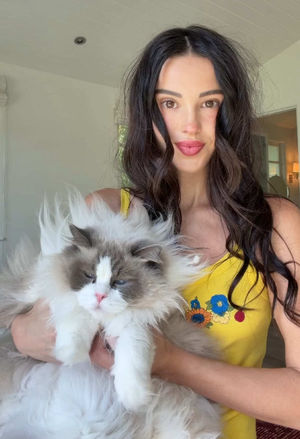 Video post by @lyssielooloo on TikTok