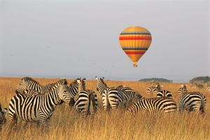 Image post by @Discovery on Twitter