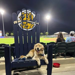 Image post by @chasriverdogs on Instagram