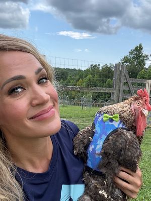 Image post by @carrieunderwood on Instagram