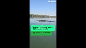 Video post by @laopinionla on YouTube