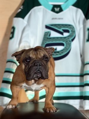 Image post by @pwhl_fleet on Instagram