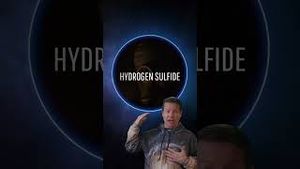 Video post by @whatifscienceshow on YouTube