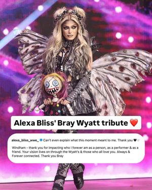Image post by @wwe_on_netflix on Instagram