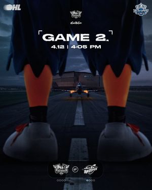 Image post by @flintfirebirds on Instagram