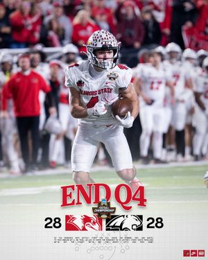 Image post by @RedbirdFB on Twitter