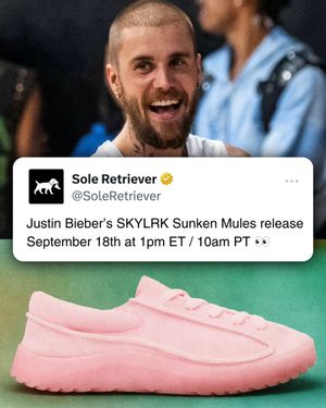 Image post by @soleretriever on Instagram