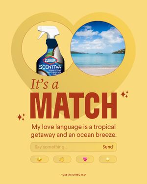 Image post by @clorox on Instagram